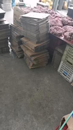 新鮮去皮濕核桃與商品房代購代銷 一站式批發與服務解決方案